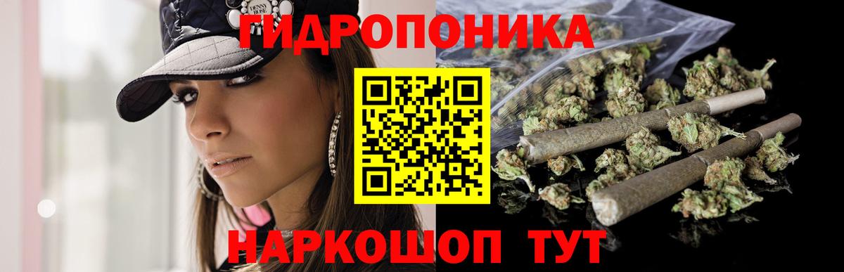 Бошки марихуана конопля  Шишки марихуана индика  Шишки марихуана планчик  Бошки Шишки Ganja  Зима  Вход с VPN 